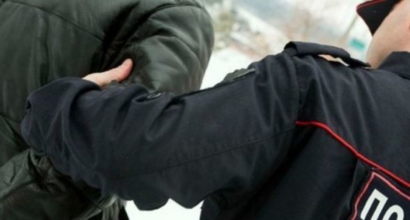 Пензенца осудили за насилие в отношении полицейского