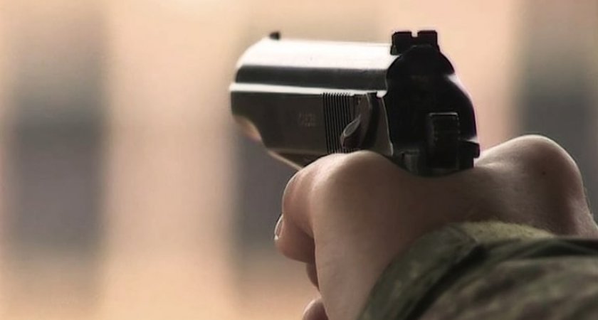 Кузнечанин изготовил оружие и выстрелил в женщину, принесшую еду