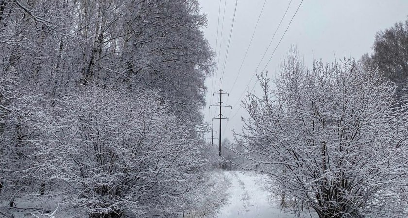 Снег, гололедица и сильный ветер: о прогнозе погоды в Пензе 