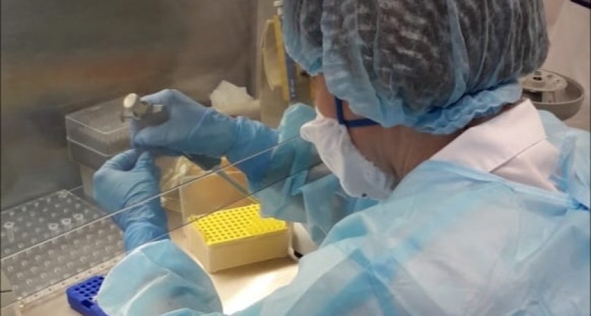 Назвали число заболевших ковидом за сутки в Пензенской области