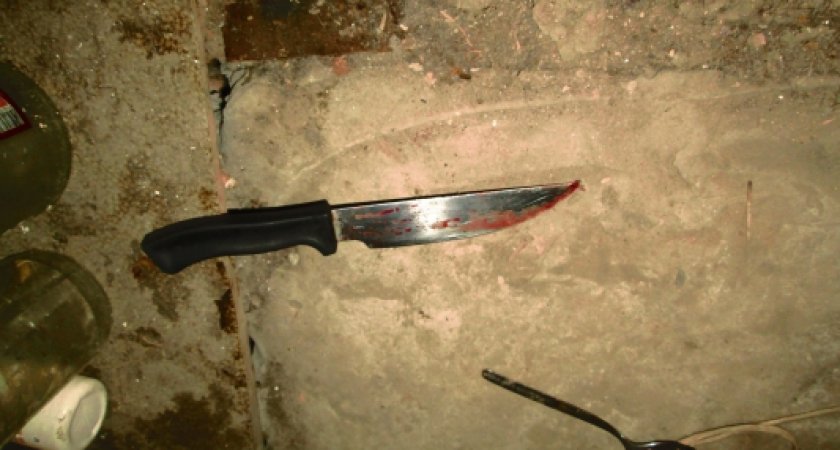 Взяла нож на кухне: жительницу Пензенской области обвиняют в убийстве возлюбленного