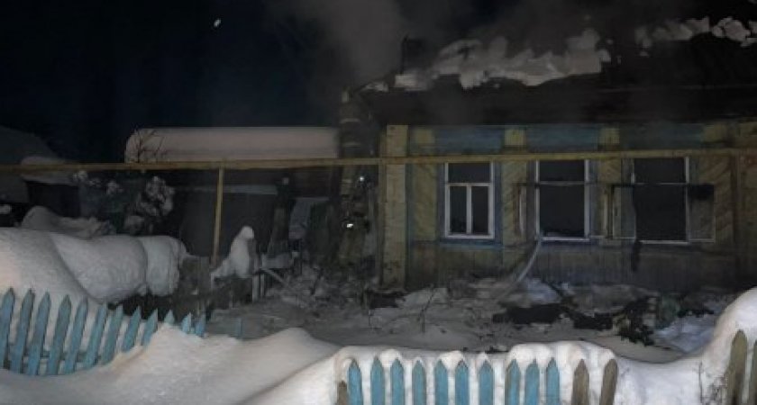 В Пензенской области во время пожара в деревянном доме погибли двое человек