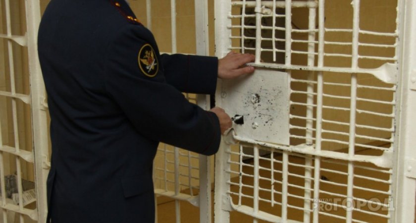 Должна больше миллиона рублей: жительницу Пензы арестовали за неуплату алиментов сыну