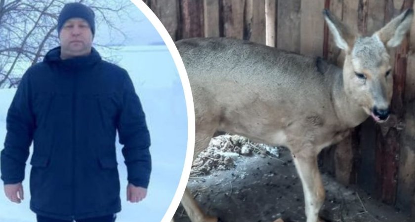 "Она лежала вся в крови": житель Пензенской области рассказал о спасении беременной косули