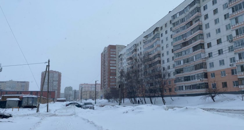 Синоптики рассказали, придут ли на этой неделе в Пензу морозы