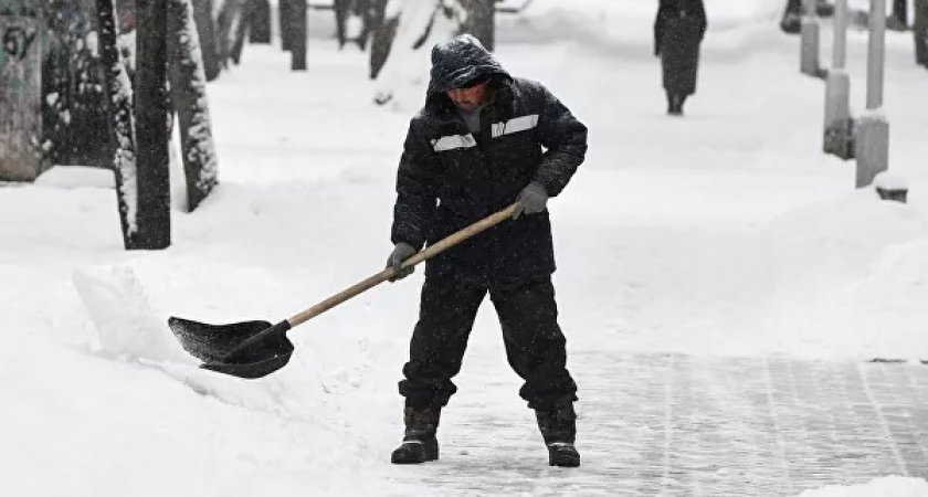 Эффект “ProГорода”: власти рассказали, как обманутому дворнику вернуть свою зарплату