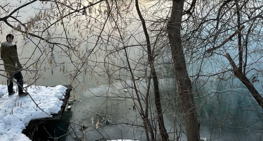 «Слышали истошный лай»: в Пензе работники «Горводоканала» бросились на помощь собаке