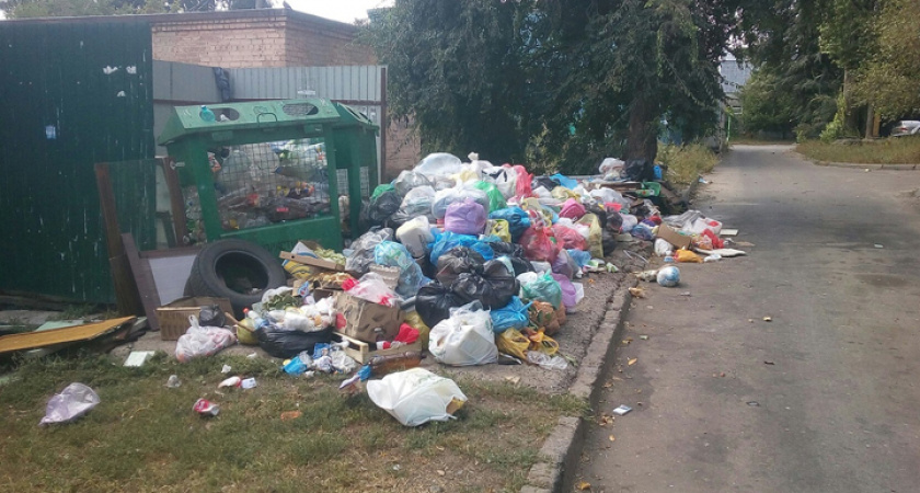"Вонь стоит": мусорная свалка рядом с детским садом возмутила пензенцев