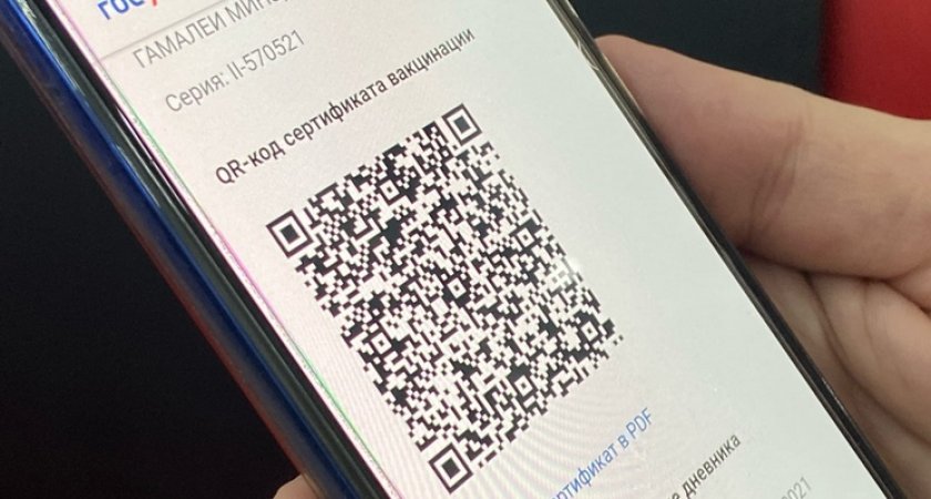 «Это не обсуждаемо»: губернатор высказался об идее допуска родителей в школы по QR-кодам