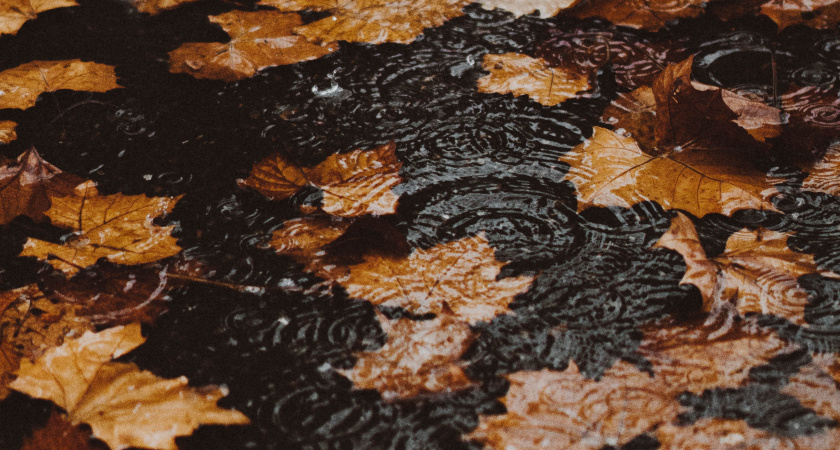 Метеорологи предупредили пензенцев об опасной погоде в городе