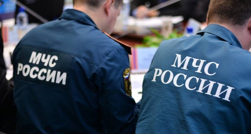 В Пензе сотрудники МЧС спасли упавшего на переходе парня