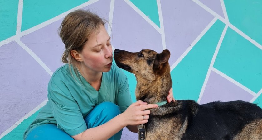 Кровь хлестала: в Пензе нашли собаку с огромным порезом на шее 