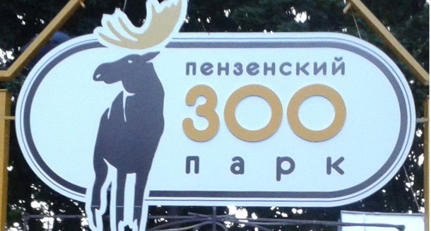 Пензенский зоопарк работает по-новому