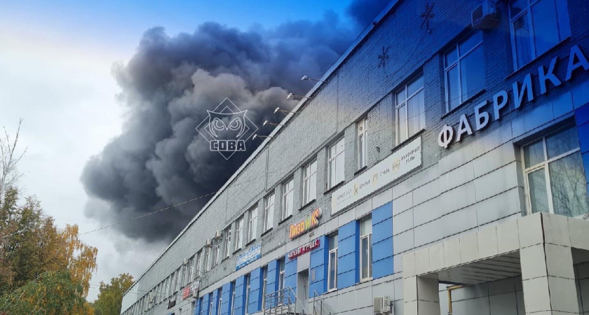 Стало известно, что горит в Пензе в районе Южной поляны
