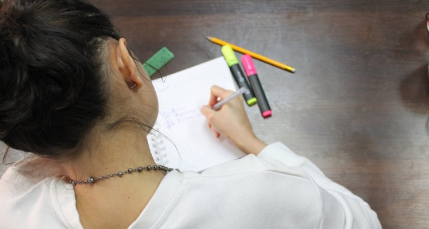 Заявились 88 человек: в Пензенской области начался досрочный период проведения ЕГЭ