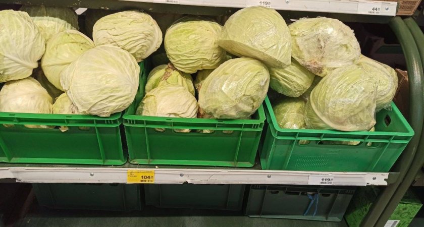 Больше сотни: пензенцы ищут объяснение цене на капусту 