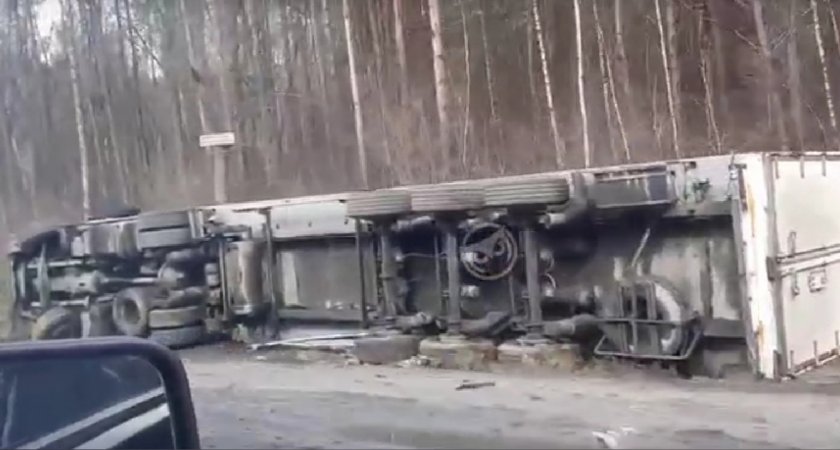 В Пензе фура вылетела за обочину
