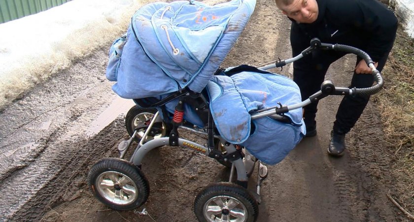 Окровавленная коляска и укусы: пензячка закрыла ребенка собой от обезумевшего пса 