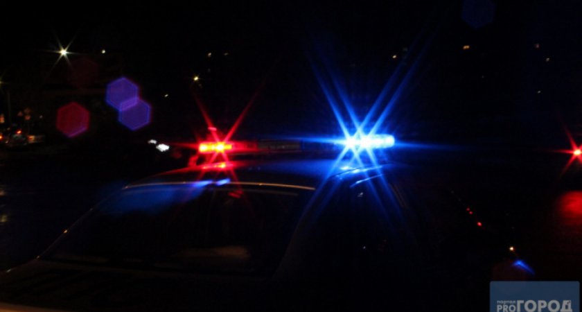 В Пензенской области водитель привел домой сотрудников ДПС, чтобы показать фальшивые права