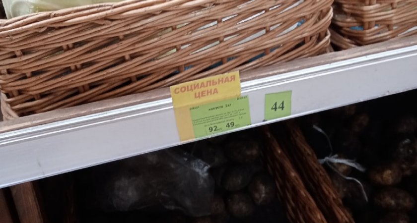ЗОЛОТОкачанная: пензенцы разыскивают дешевую капусту в магазинах 