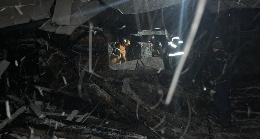 69 летний мужчина в Пензенской области сгорел заживо