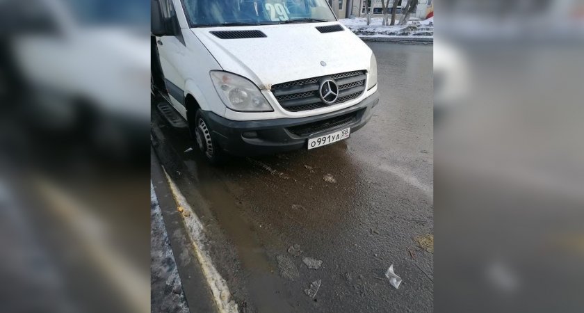 "Выгнал и покрыл матом": в Пензе водитель маршрутки не посадил пассажирку 