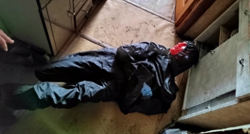 Житель Пензенской области убил и расчленил друга, а останки спрятал в подвале