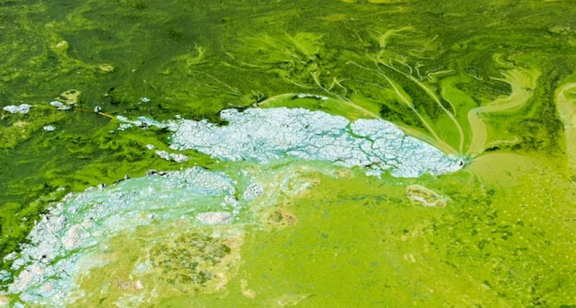 Предупреждение: из кранов пензенцев потечет зеленая вода