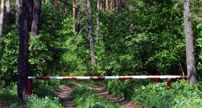 В Пензенской области установят более 700 шлагбаумов на въездах в леса