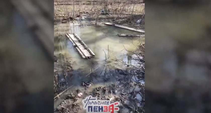 "Заходим в подъезд по воде": пензенка пожаловалась на состояние канализаций