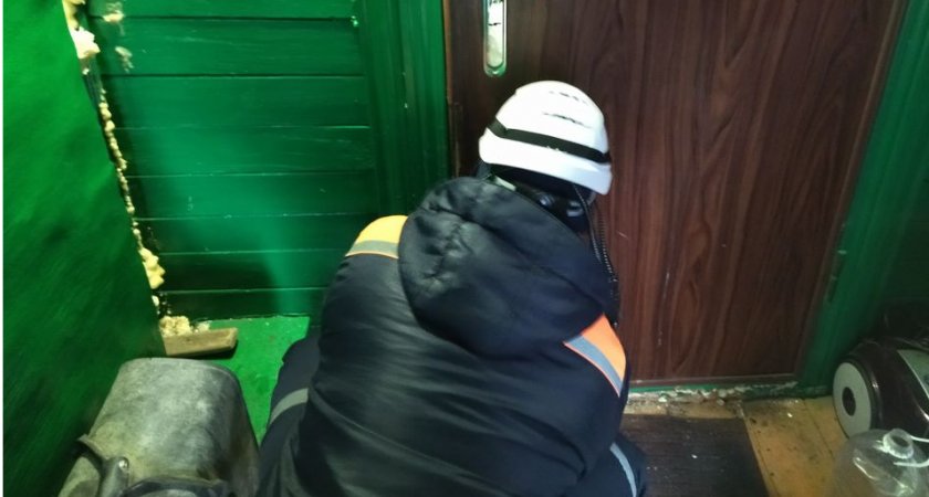 В Пензе спасли двух двухлетних малышей, запертых в частном доме