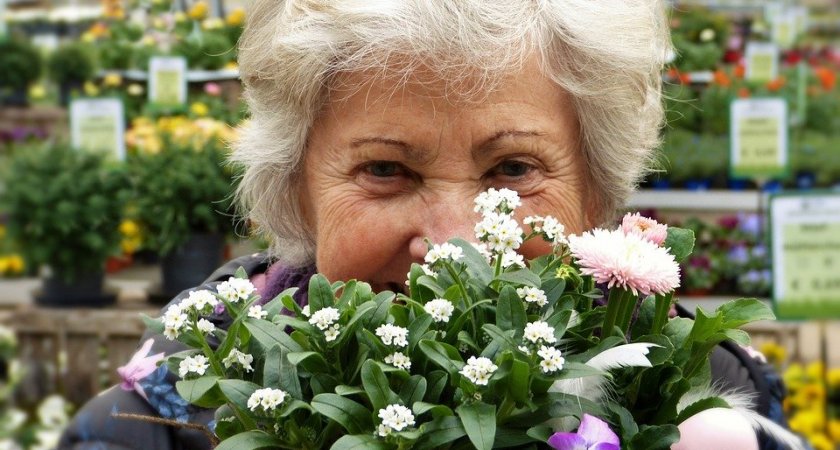 Российских пенсионеров освободили от части налогов