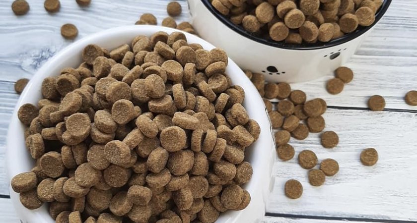 Жительница Пензы украла корм для кошек