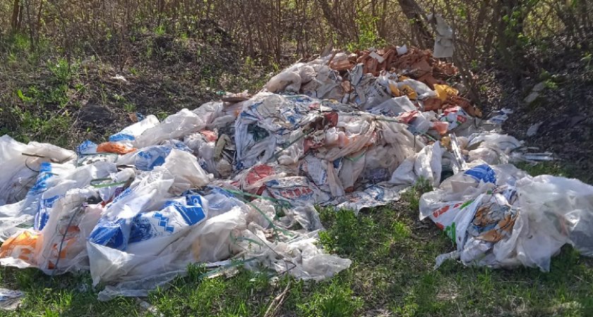 В водоохранной зоне Суры образовалась свалка 