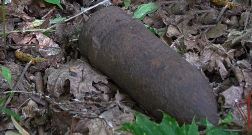 Житель Пензенской области нашел снаряд времен ВОВ 