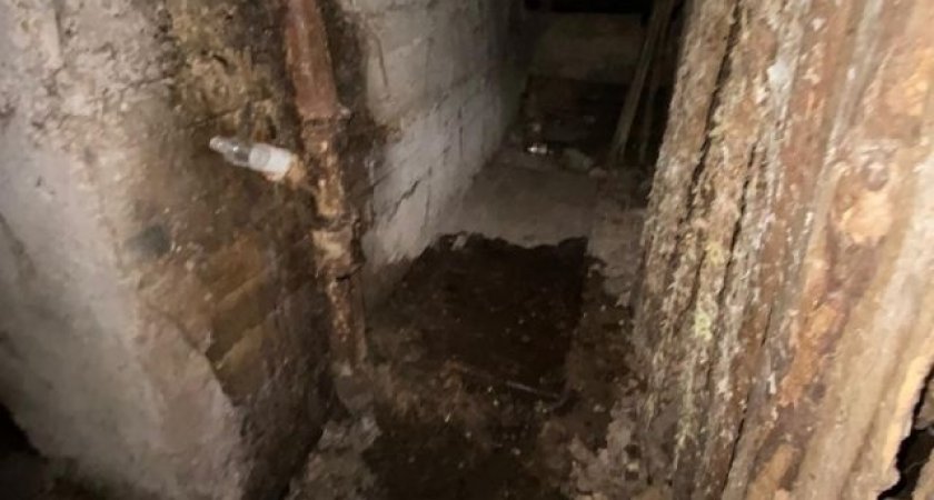 "Банки и картошка в кале: коммунальщики затопили фекалиями дом в Пензе