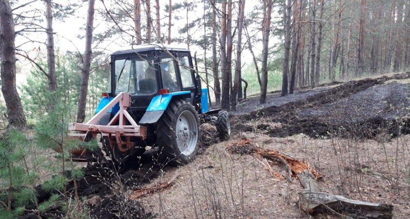 В Пензенской области 2 раза горели леса
