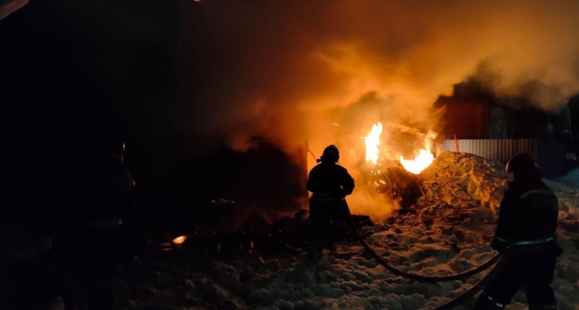 В Пензенской области в пожаре умер 7-летний ребенок
