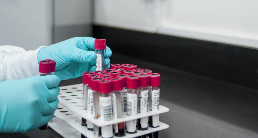 Люди с этой группой крови имеют самый слабый иммунитет: ученые сделали необычное заявление