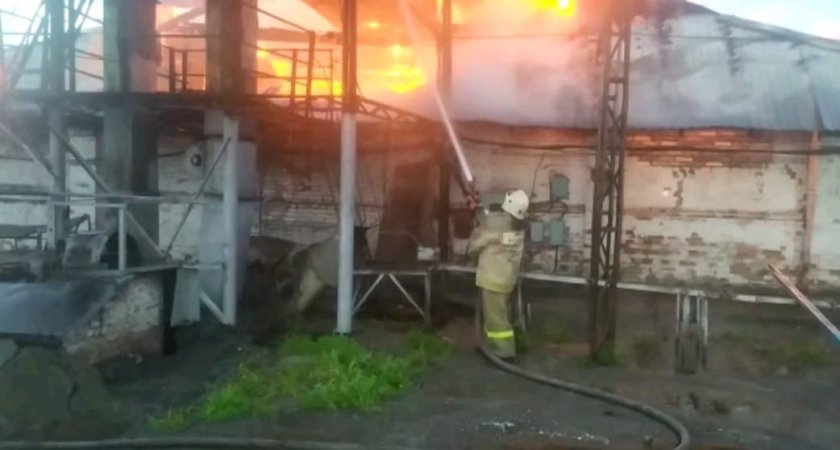 В Пензенской области всю ночь тушили пожар на складе