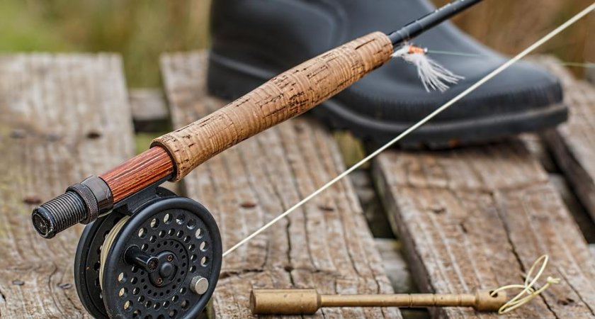 “Что за чудо?”: житель Пензенской области встретил во время рыбалки необычную живность