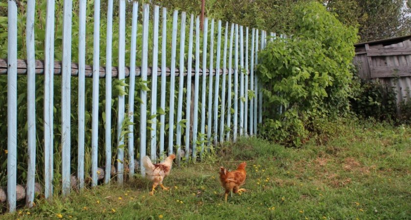 В селе Пензенской области построят амбулаторию за 6,5 миллионов рублей 