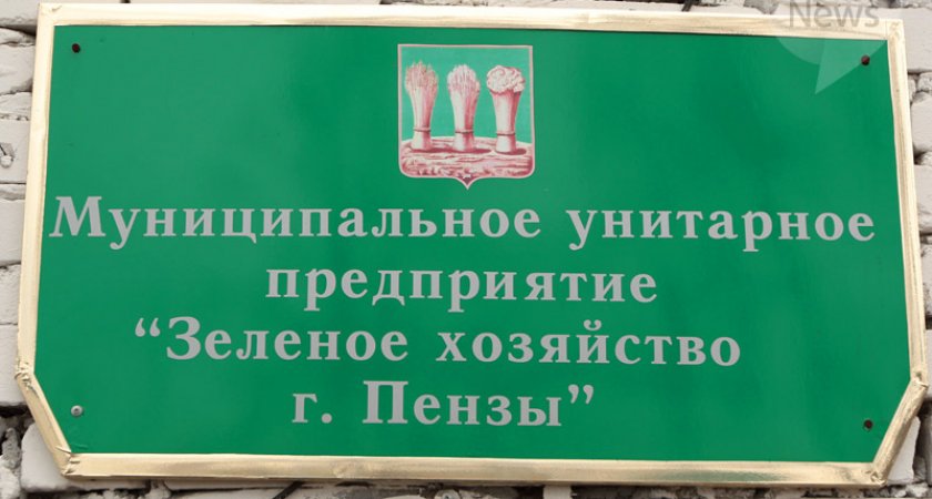 "Зеленое хозяйство" Пензы передумали закрывать 