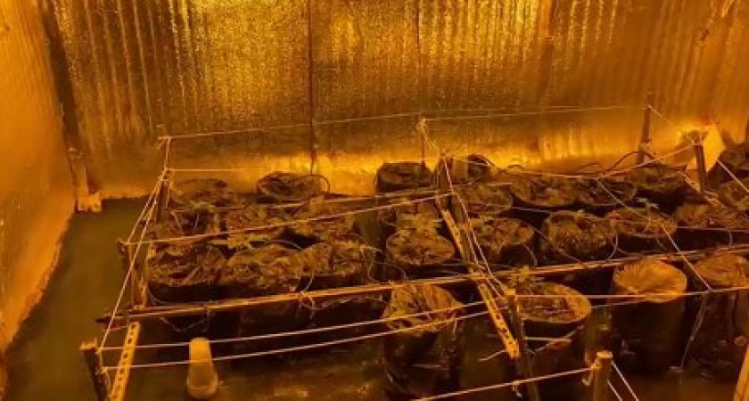 У пензенца нашли и изъяли 2 килограмма наркотика