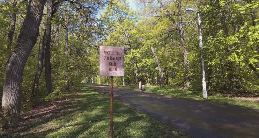 Ночью в Пензе на Олимпийской аллее проведут обработку от клещей 