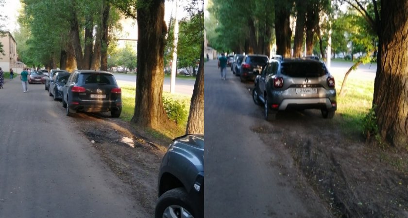 Пензенцы закатали газон вокруг своего двора