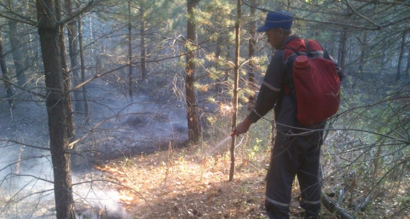 На охрану леса от пожаров в Пензенской области выделили более 17 миллионов рублей