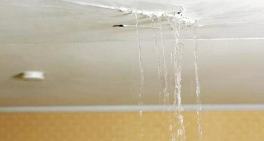 "В управляйке бросают трубку": пензенцы живут с мошками под протекающей крышей