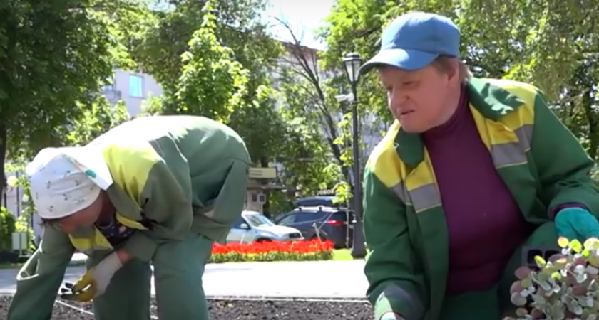 На пензенские клубы высадят более 250 000 цветов