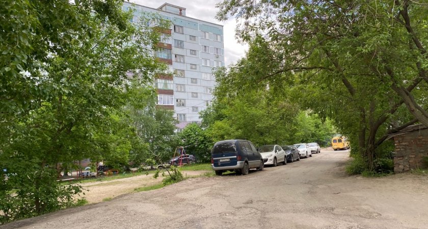 Сегодня в районах Пензенской области пройдет дождь 